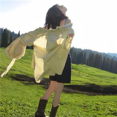 蝶之力学 杀人分析班